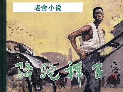 深入了解 红桃影视官网入口